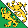 umzugsreinigung-schaffhausen